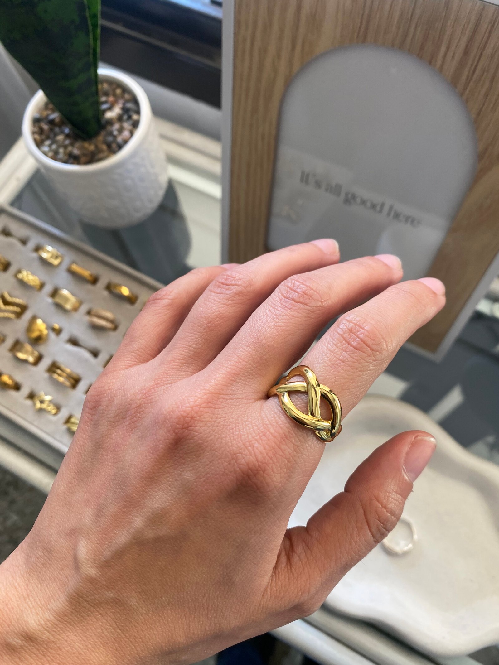 Anillo Bolonia